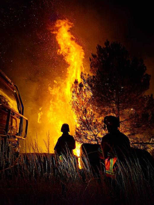 Understanding Wildfire Causes and Climate Impact