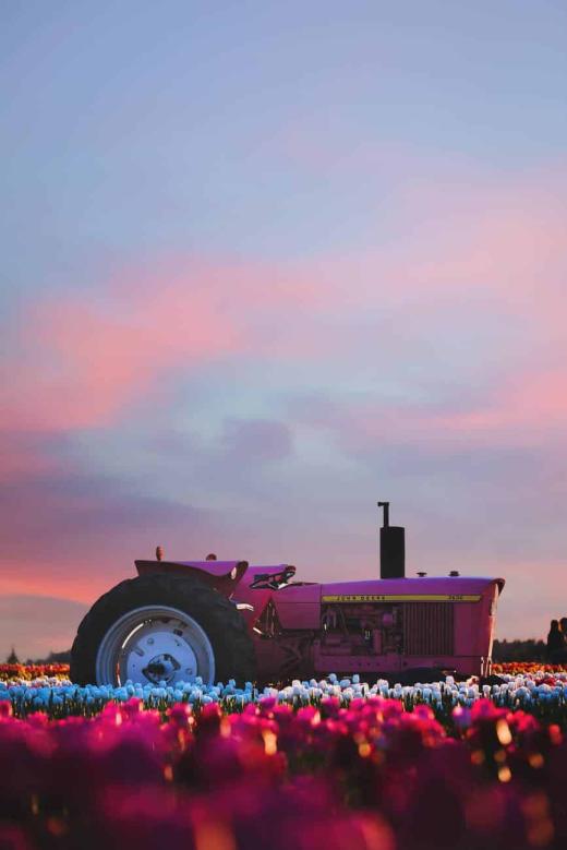 Exploring Sustainable Agriculture: A Path to Healthier Food