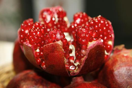 Embracing Abundance: A New Economic Perspective