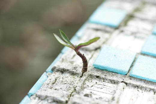 Redefining the Human-Nature Relationship: A New Contract for Sustainability
